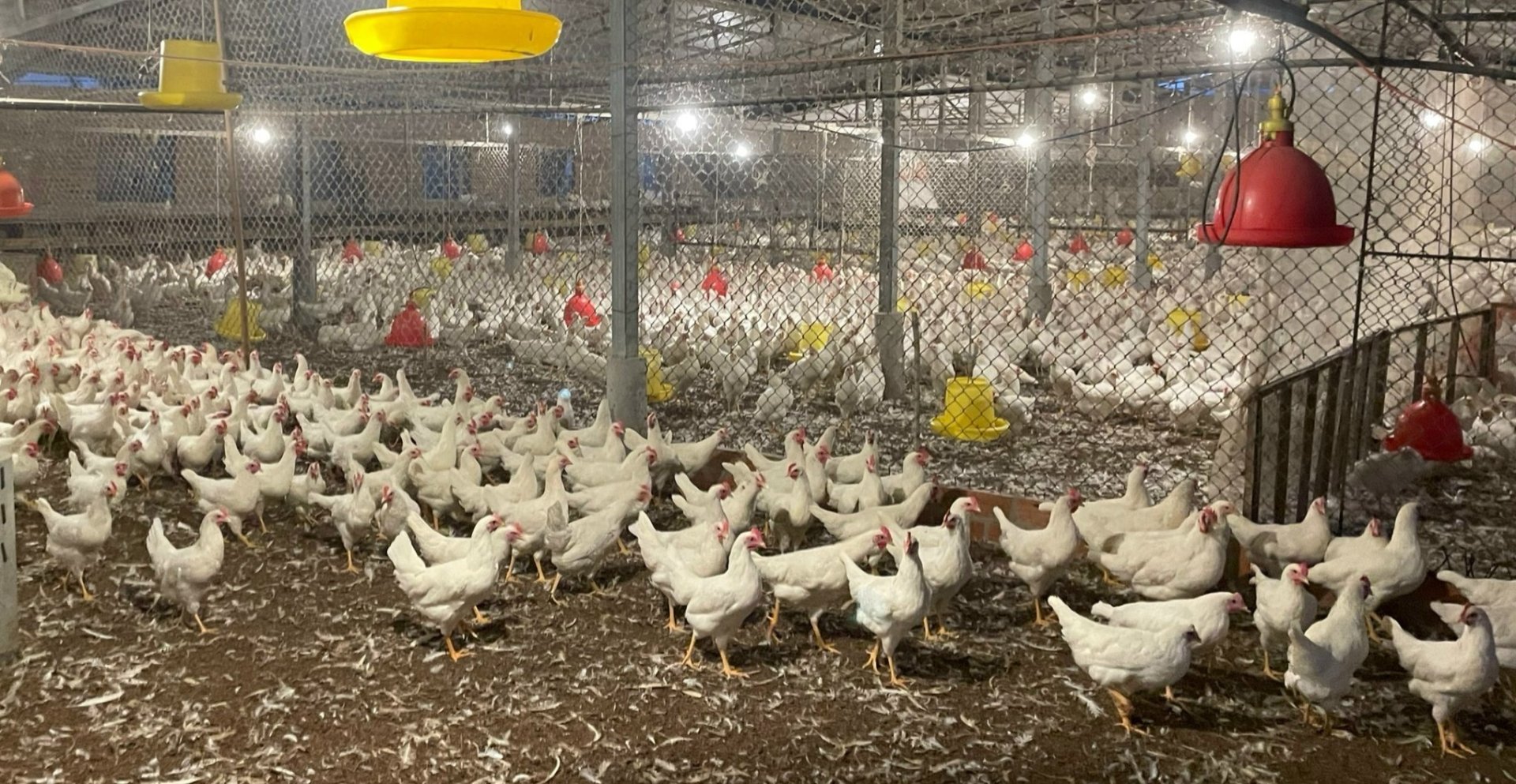 Hội chứng giảm đẻ