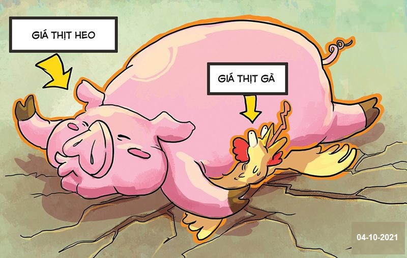 Giá heo hơi hôm nay 04/10, giảm sâu sau 2 ngày cuối tuần