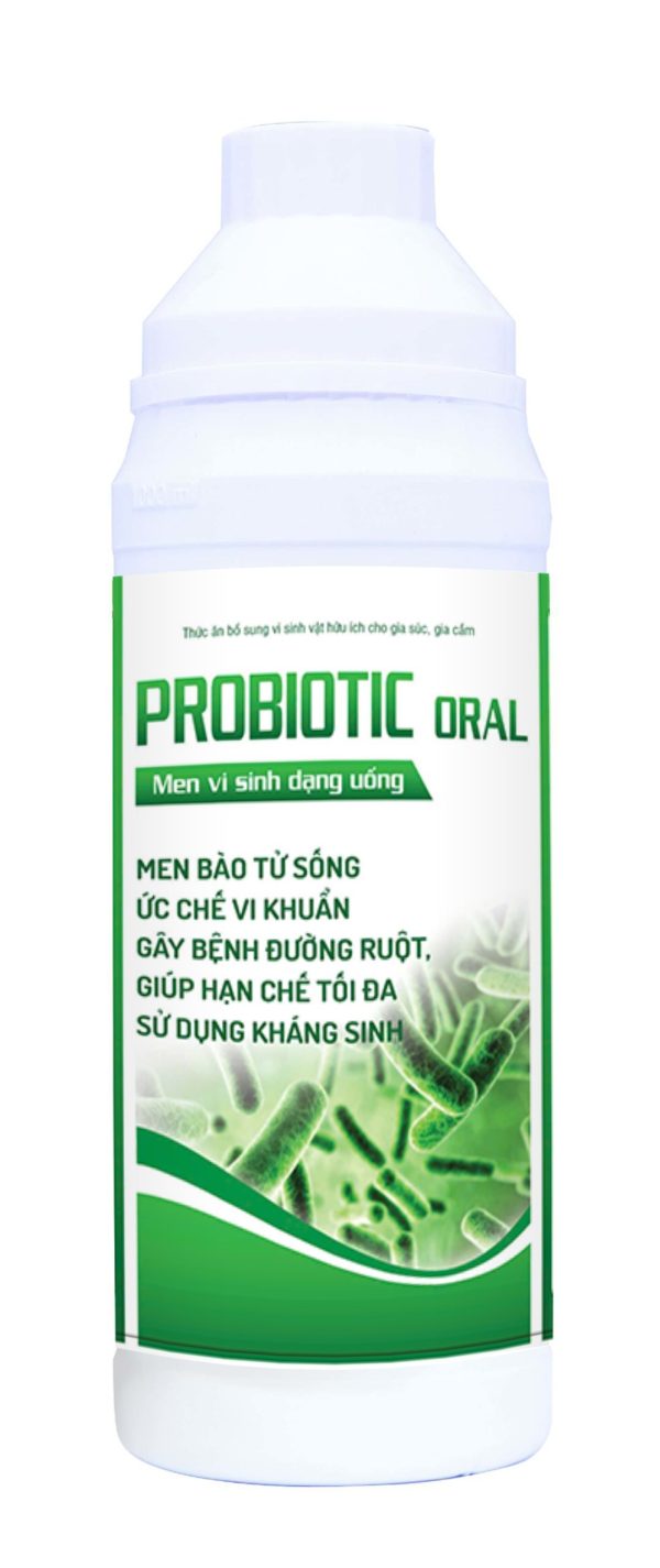 Probiotic oral