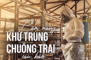 Cẩm nang khử trùng chuồng trại sau bão – bước khởi đầu trước khi tái đàn